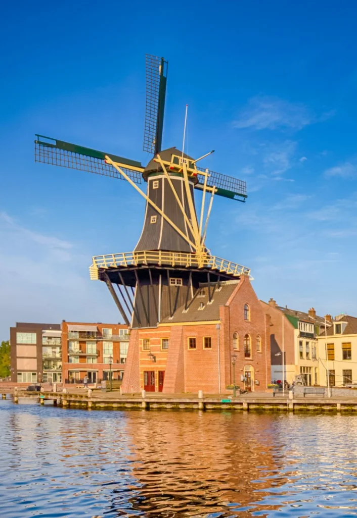 Vacatures in Haarlem Vacatures in Haarlem